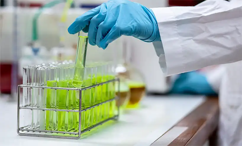 biofertilizer biofertilizer