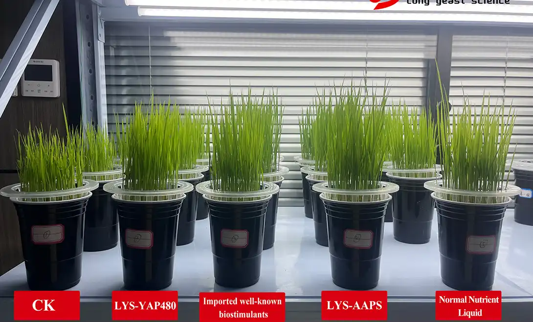 liquid amino acid fertilizer