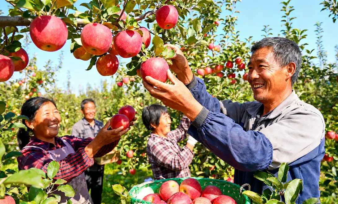 yeast nucleoside peptides-biostimulant yeast nucleoside peptides-biostimulant