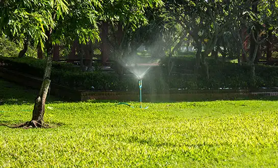 liquid fertilizer for grass