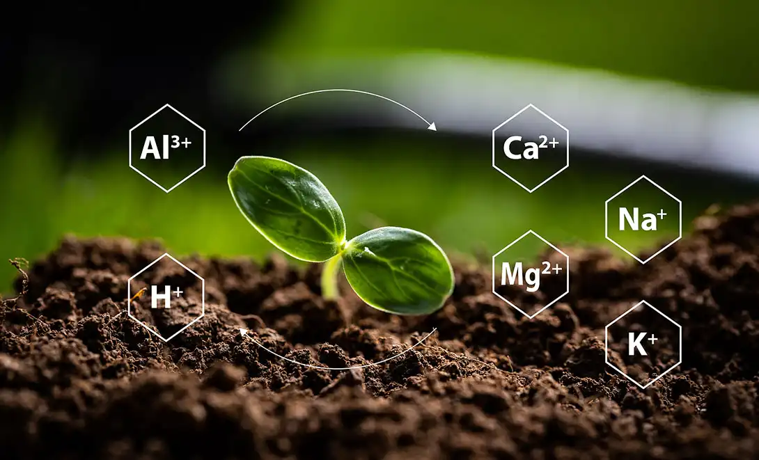 biostimulant-amino acid fertilizer biostimulant-amino acid fertilizer