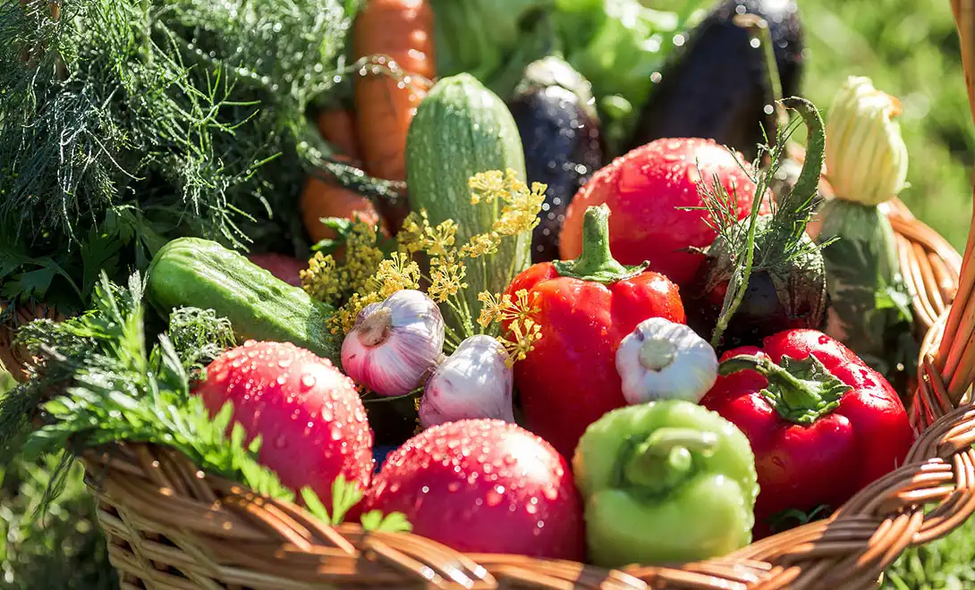 liquid peptide amino acid fertilizer liquid peptide amino acid fertilizer