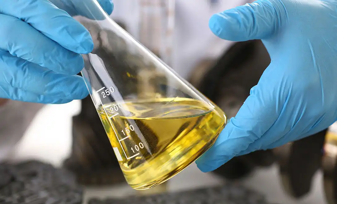 best biostimuants best biostimuants