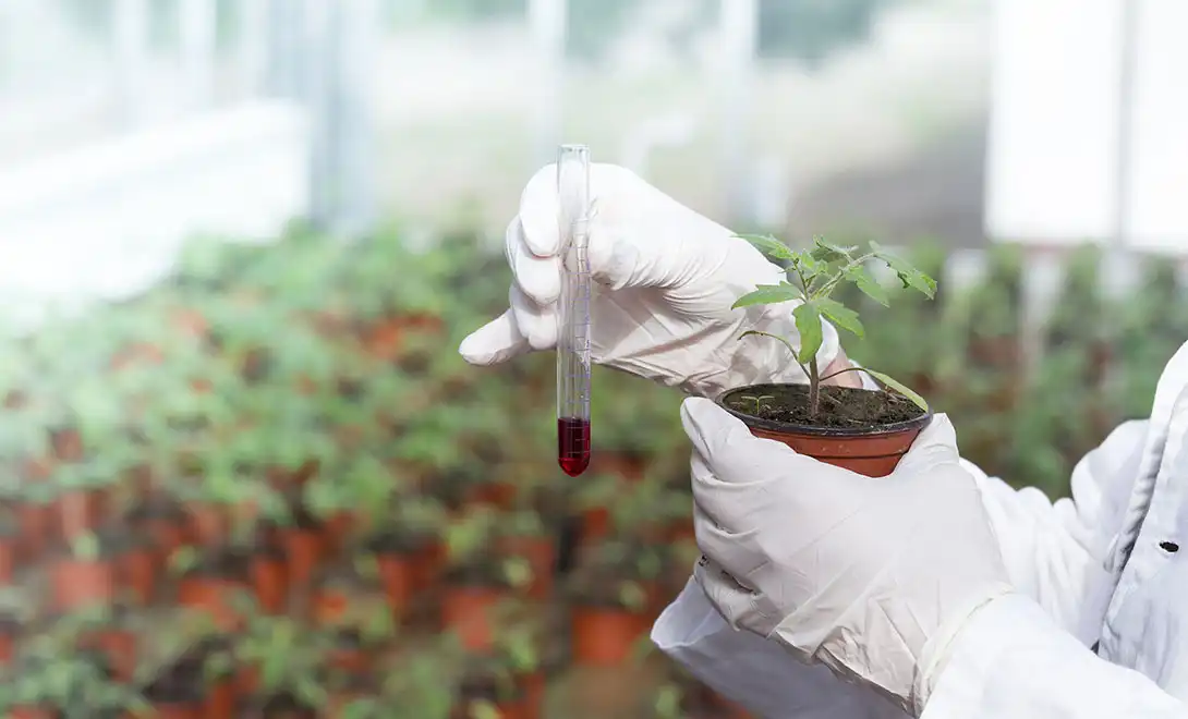 best biostimulants in agriculture