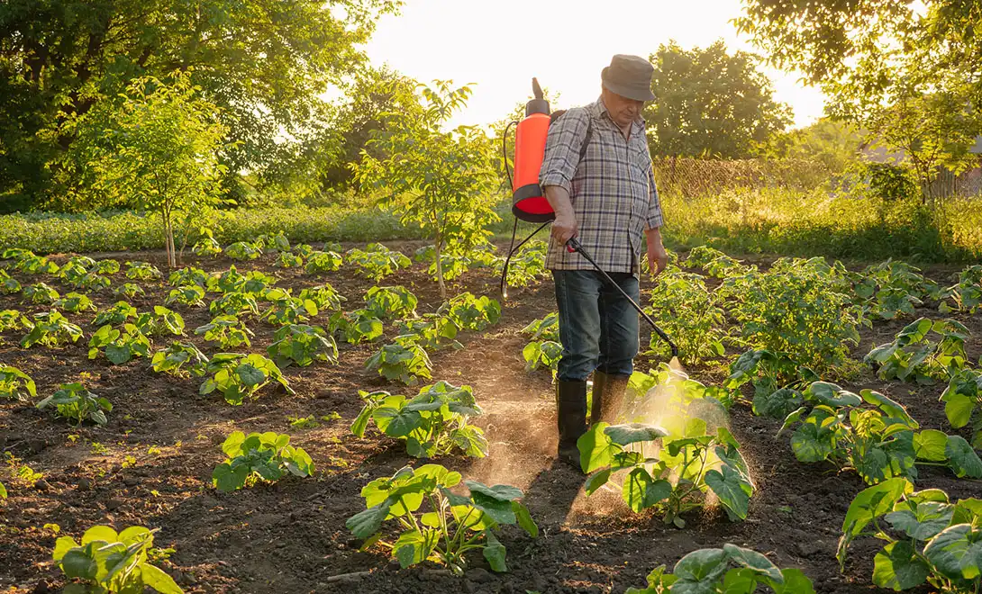 best liquid amino acid fertilizer-free amino acid best liquid amino acid fertilizer-free amino acid