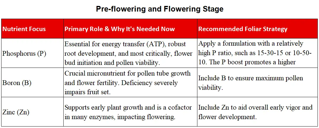 Fertilizer Management for Tomato Cultivation-Pre-flowering and Flowering Stage