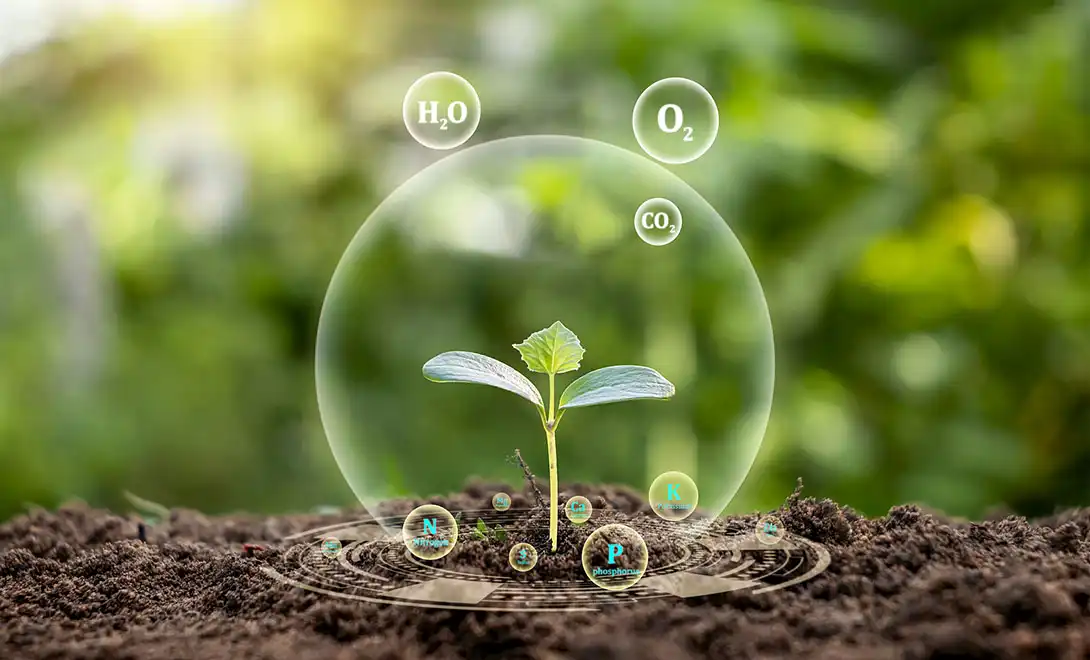 free-form amino acids fertilizer free-form amino acids fertilizer