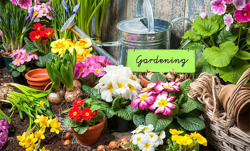 garden fertilizer