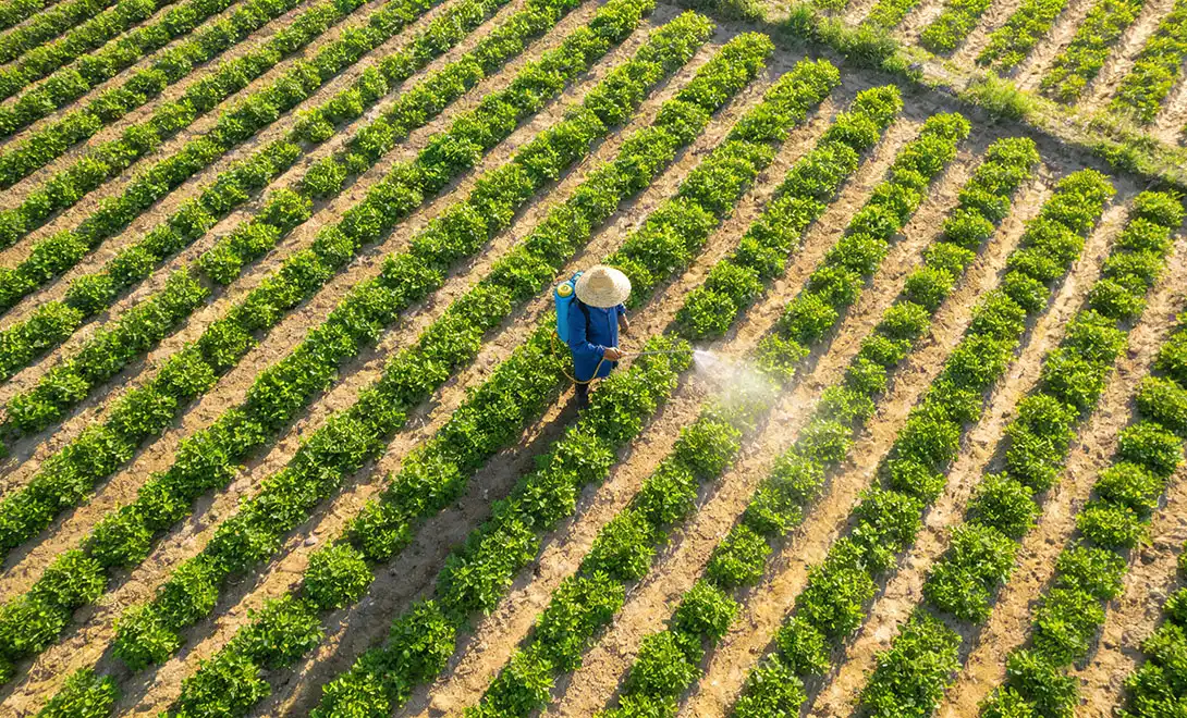 plant growtn regulators