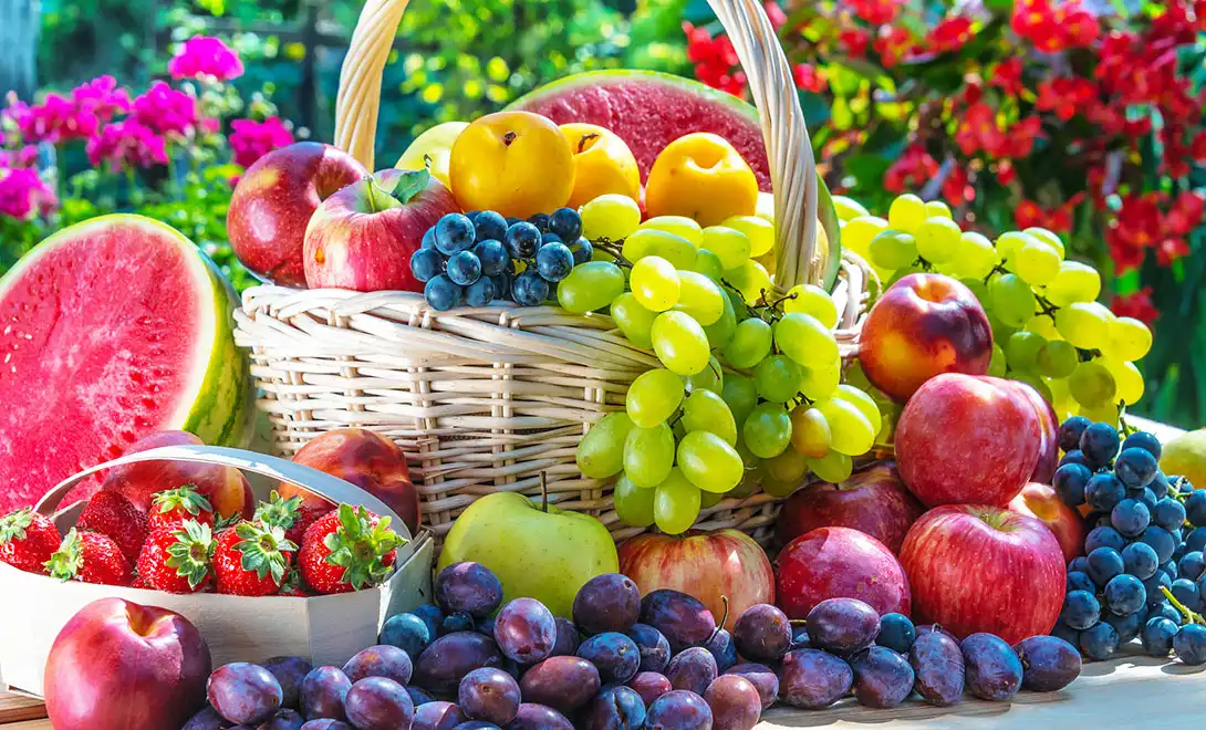 bioactive peptides-fruit Harvest bioactive peptides-fruit Harvest