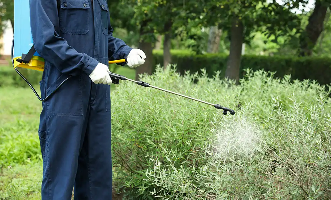 liquid fertilizer liquid fertilizer