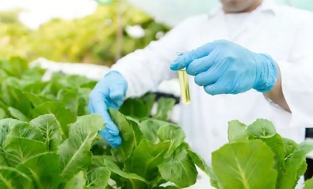 bioactive fertilizer bioactive fertilizer