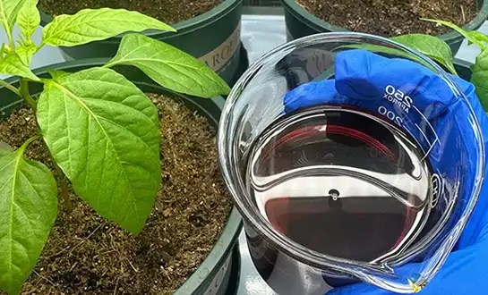 best liquid fertilizer