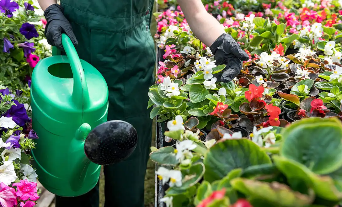 best liquid fertilizer