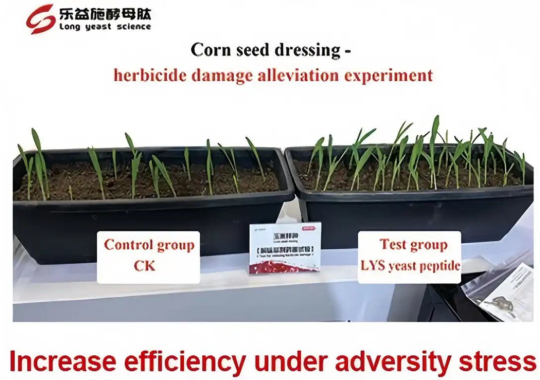 amino acid fertilizer amino acid fertilizer