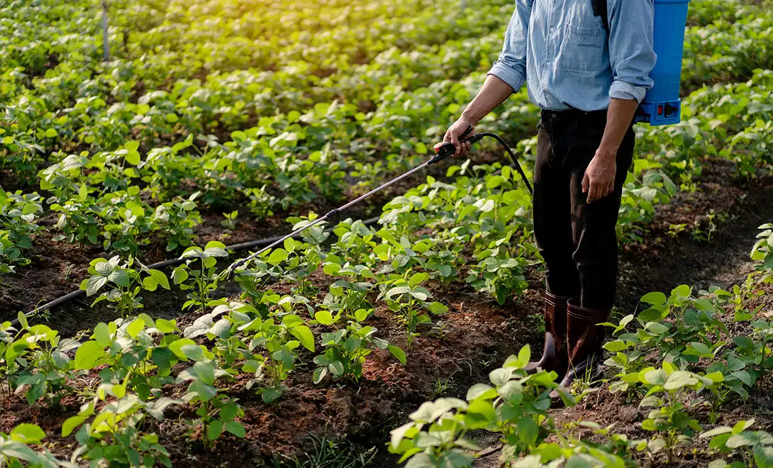 amino acid fertilizer