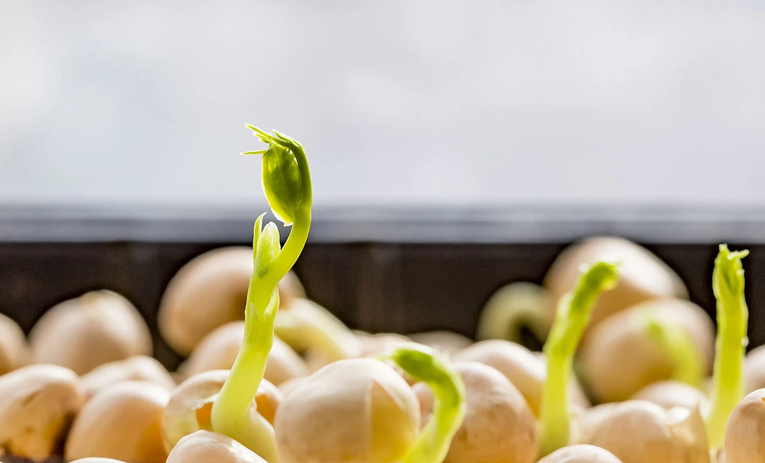 liquid fertilizer liquid fertilizer