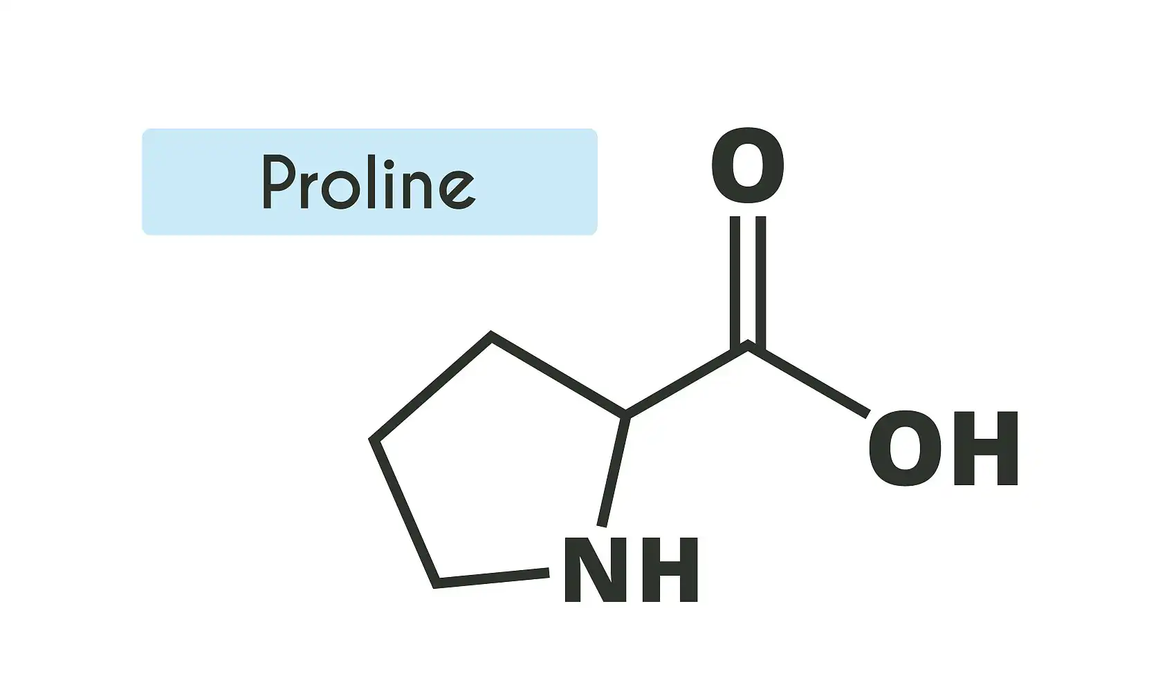 amino acid-proline amino acid-proline