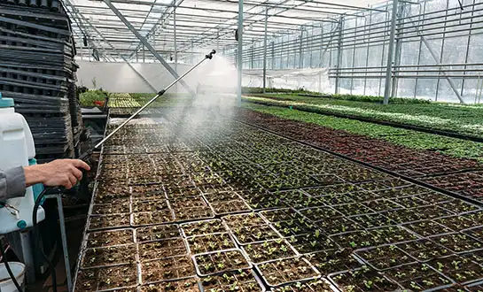 micronutrients fertilizer