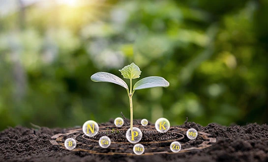 plant amino acid fertilizer