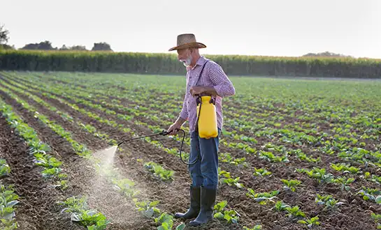 amino acid fertilizer