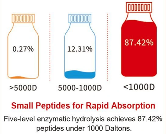 amino acid fertilizer