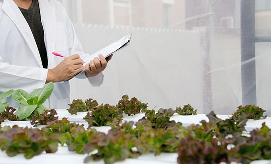 liquid fertilizer liquid fertilizer