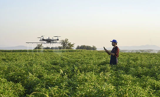 water soluble fertilizer water soluble fertilizer