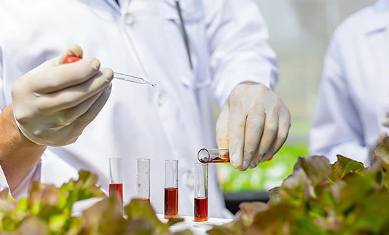 organic liquid fertilizer