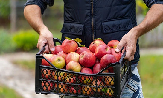 yeast-based biostimulants yeast-based biostimulants