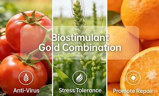 amino acids for plants