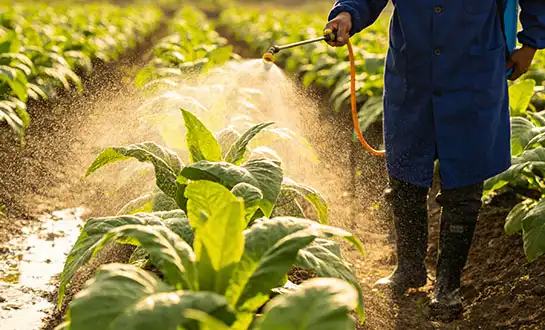 amino acid foliar fertilizer amino acid foliar fertilizer