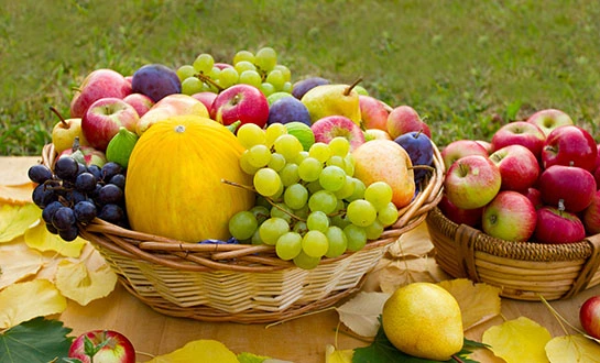 amino acids in agriculture amino acids in agriculture