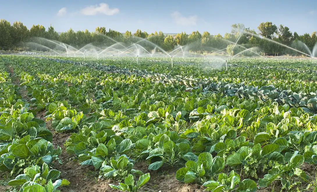 liquid fertilizer liquid fertilizer