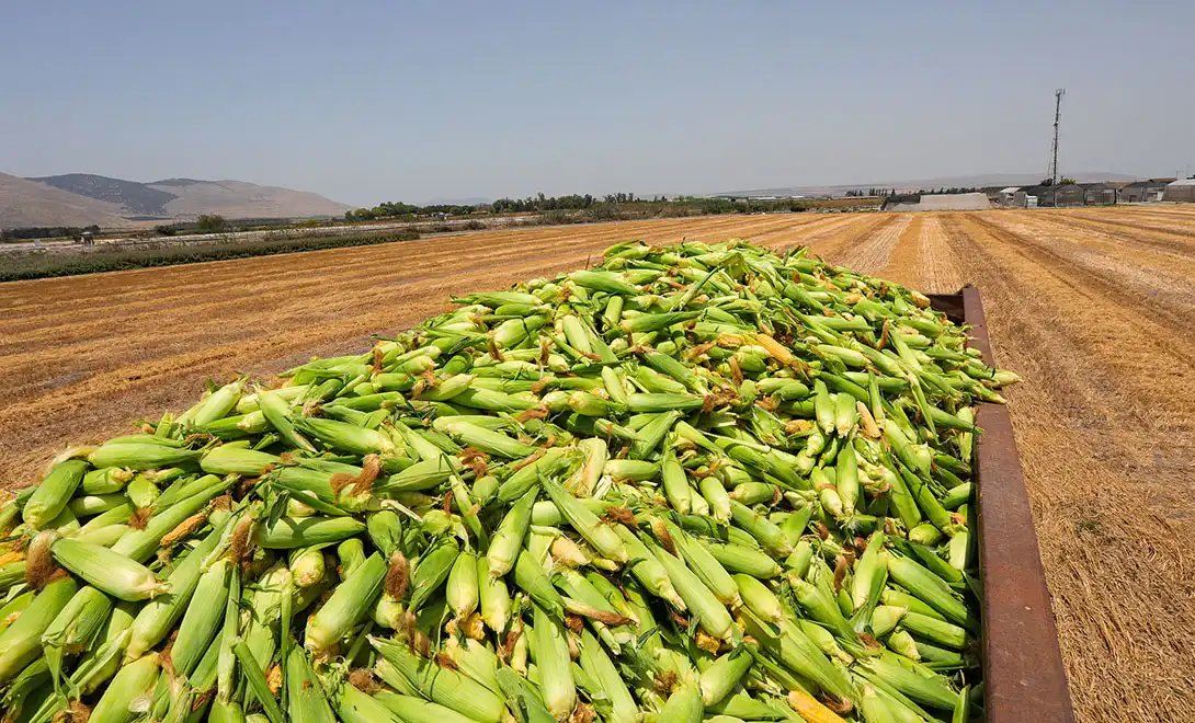 liquid fertilizer liquid fertilizer