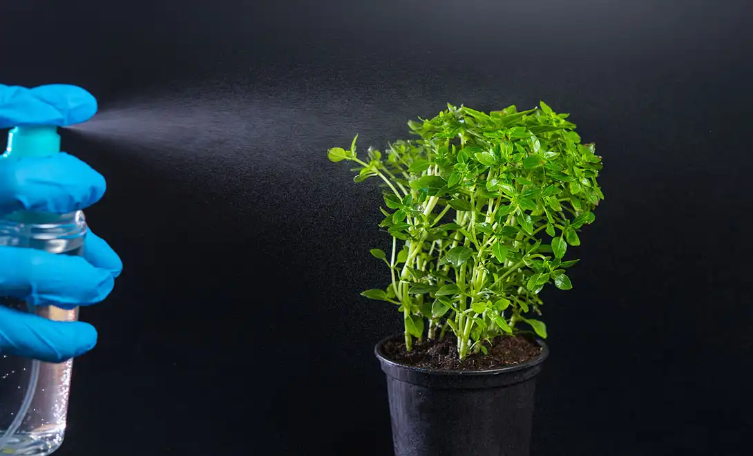 liquid fertilizer liquid fertilizer