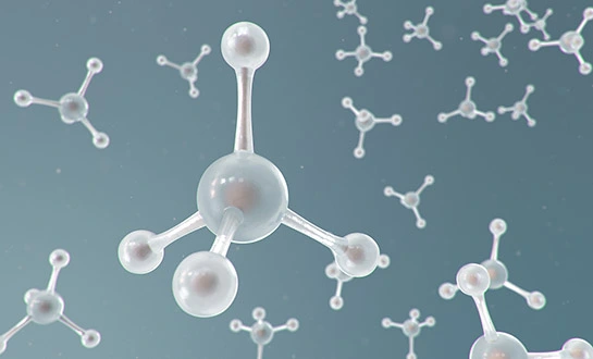 yeast nucleotide peptides yeast nucleotide peptides