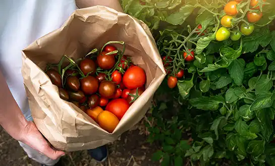 antiviral peptide antiviral peptide