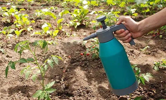 root growth promoter root growth promoter