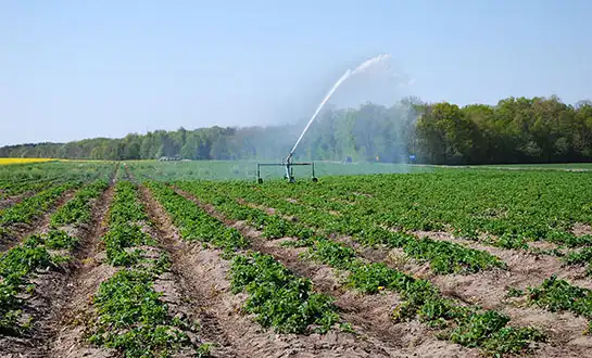 micronutrients for plants micronutrients for plants