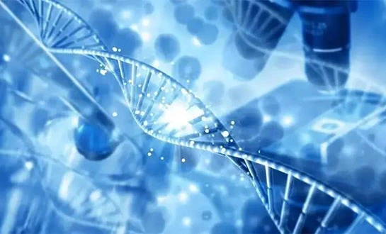 liquid fertilizer liquid fertilizer