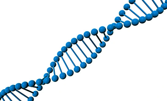 amino acid biostimulants amino acid biostimulants