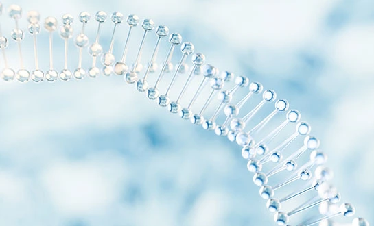 plants immunity peptide