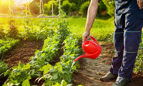 liquid fertilizer liquid fertilizer