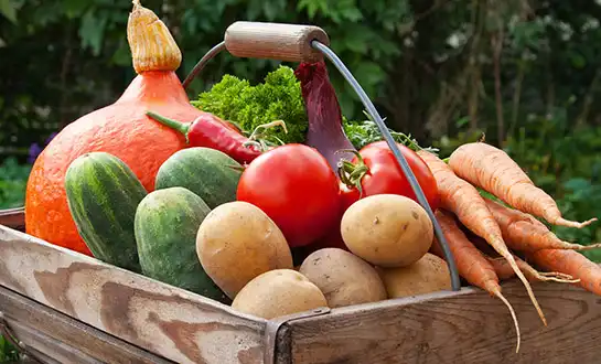 biostimulants biostimulants