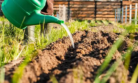 amino acid peptide fertilizer amino acid peptide fertilizer