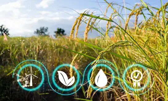 yeast protein powder