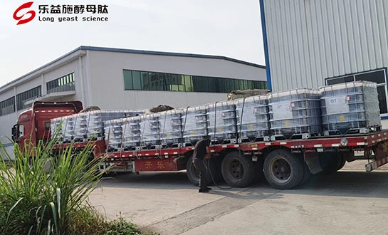 amino acid fertilizer amino acid fertilizer
