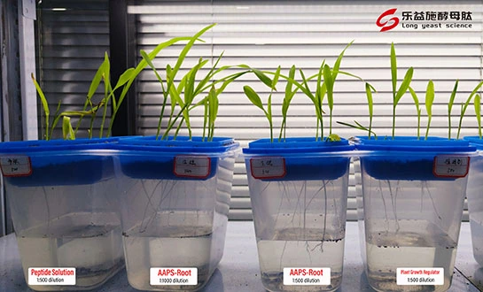 liquid fertilizer liquid fertilizer