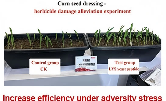 amino acid peptide fertilizer